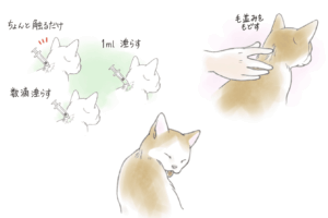 滴下剤を猫の首筋に垂らす練習
