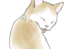 毛繕いをする茶色の猫