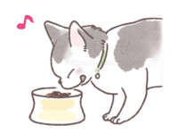 美味しそうにフードを食べている猫