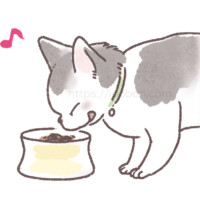 美味しそうにフードを食べている猫