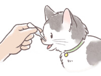 猫の口にスポイトで液剤を飲ませている