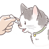 猫の口にスポイトで液剤を飲ませている