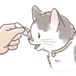 猫の口にスポイトで液剤を飲ませている