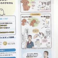 犬や猫、サプリメントの与え方