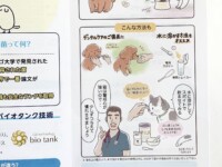 犬や猫、サプリメントの与え方