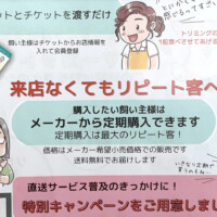 犬猫用のサプリメントの定期購入を案内するチラシ