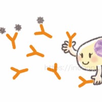 プラズマ細胞が病原体を免疫で攻撃している