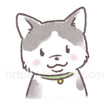 グレーと白のハチワレ柄の猫