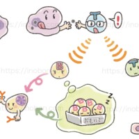 【免疫の俯瞰図】エデュワードプレス出版/動物看護5月号 免疫細胞の働き