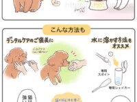 サプリメントの上手な与え方、犬と猫、獣医師