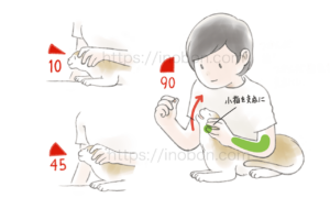 猫の口に薬を入れるため、猫の顔を上に向ける練習、角度 猫の頭部と体を支えて錠剤を飲ませる方法