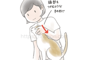 猫の保定技術と練習方法