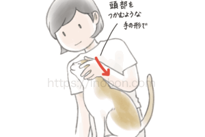 猫の保定技術と練習方法