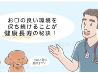 男性の獣医師が口腔ケアを指導している
