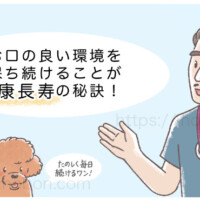 男性の獣医師が口腔ケアを指導している