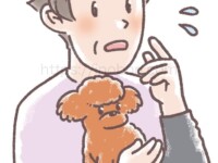 茶色の小型犬を抱いて心配そうにする女性の飼い主