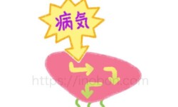 肝数値の変化と血液検査