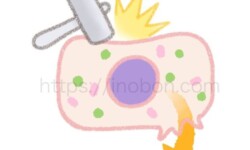 傷害を受けた細胞からわかる血液検査の数値