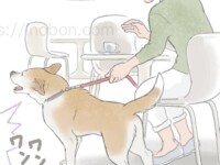 ドッグカフェにいる飼い主と犬、近づいて来る他の犬に激しく吠えている