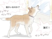 窓の外に向かって、警戒吠えをする犬
