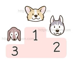 【制作実績例】雑誌の挿絵「採血時の難易度が高い犬のランキング」2025年動物看護専門月刊誌:いのぼんイラスト制作所 採血が難しい犬のランキング、コーギー、ダックス、ハスキー