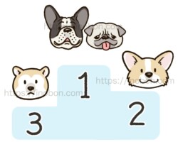 【制作実績例】雑誌の挿絵「採血時の難易度が高い犬のランキング」2025年動物看護専門月刊誌:いのぼんイラスト制作所 表彰台、採血の難易度が高い犬、ランキング、フレぶる、柴、コーギー