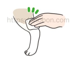 犬の後肢からの採血、指で押さえて圧迫止血をしているイラスト