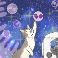 満天の星空、ミクロの世界、顕微鏡