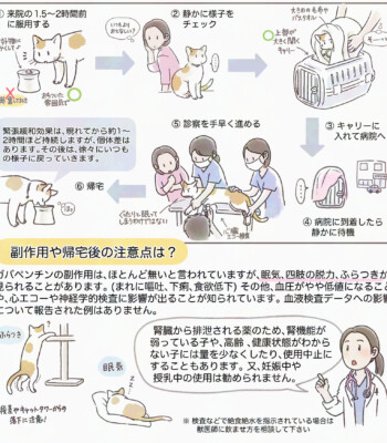 猫のためのガバペンチンの使用量と副作用の解説