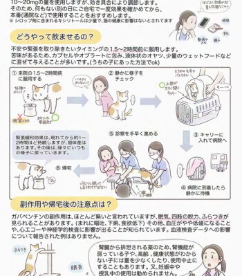 2024年 制作 いのぼんイラスト制作所 猫のためのガバペンチンの使用量と副作用