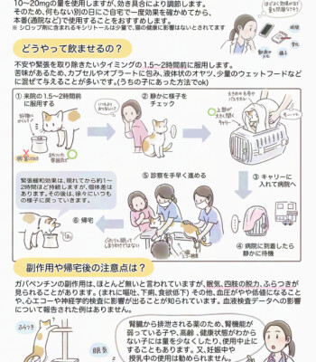 猫のためのガバペンチンの使用量と副作用の解説