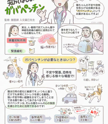 2024年 制作 いのぼんイラスト制作所 診察時の猫のストレスを緩和するガバペンチン