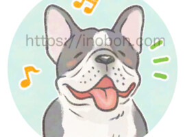 フレンチブルドッグが嬉しそうにしている