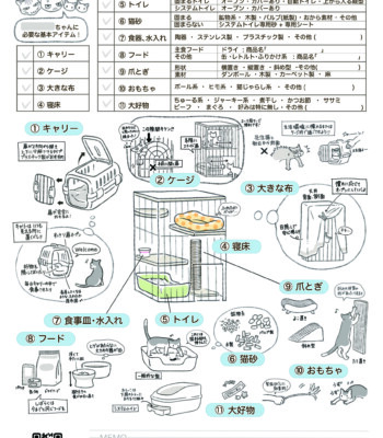 初めて猫と暮らし始める方に必要な基本アイテムを紹介したチラシ