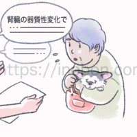 獣医師が説明しているが、小型犬を抱くお婆さんは理科できずにいる様子、それに気づいた看護師が二人を見ている