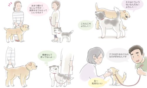 犬のコミニュケーション、挨拶のやり方