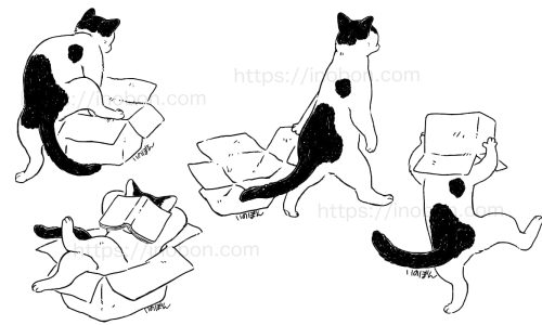 黒と白のブチ柄の猫が箱を持っているイラスト