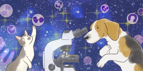 顕微鏡を覗く犬と楽しそうな猫のイラスト、深いブルーの星空を背景に