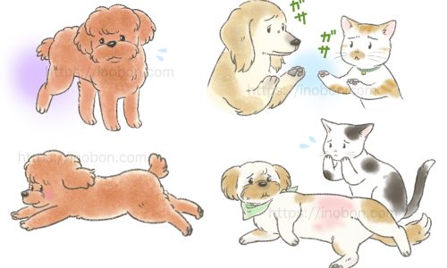 health care for pets 2