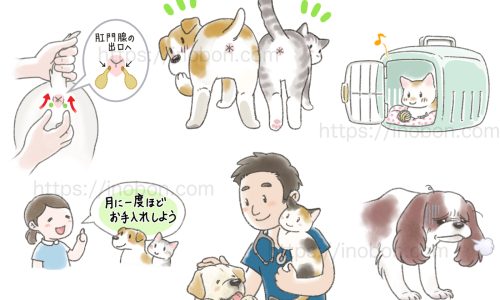 動物病院のイラスト、肛門腺のお手入れ、獣医さんのイラスト