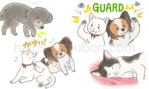 ペットのイラスト、ノミダニ対策や体調不良の犬のイラスト