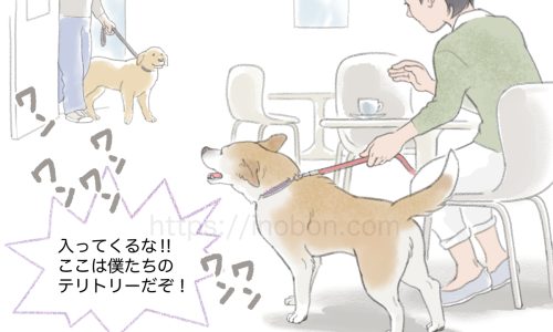 ドックカフェで吠えている犬、リードを持つ女性