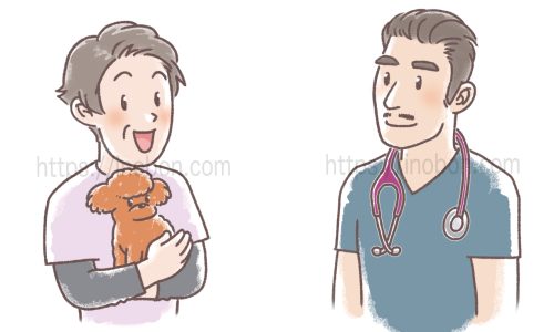 聴診器を首にかけた獣医師と小型犬を抱いた女性